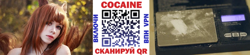 Cocaine FishScale  Купить закладки  Кингисепп 