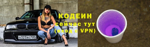 индика Володарск