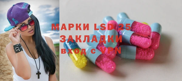 индика Володарск