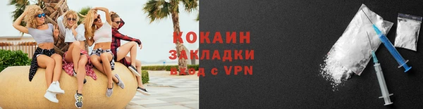 индика Володарск