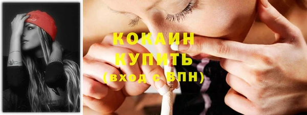 индика Володарск