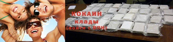 PSILOCYBIN Волосово