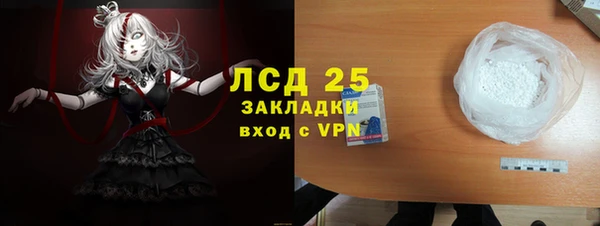 индика Володарск