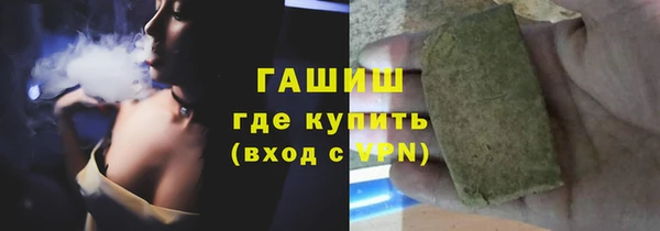 индика Володарск
