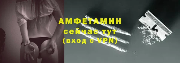 индика Володарск