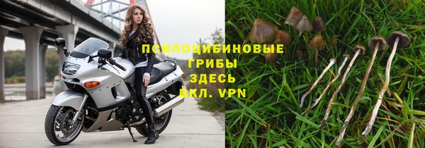 PSILOCYBIN Волосово
