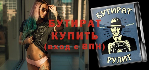 индика Володарск