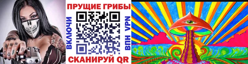 Псилоцибиновые грибы Psilocybe  Купить где  Кингисепп 